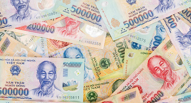 vietnamese money